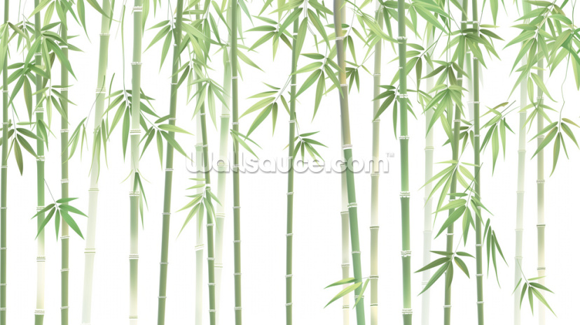 Green and White Bamboo