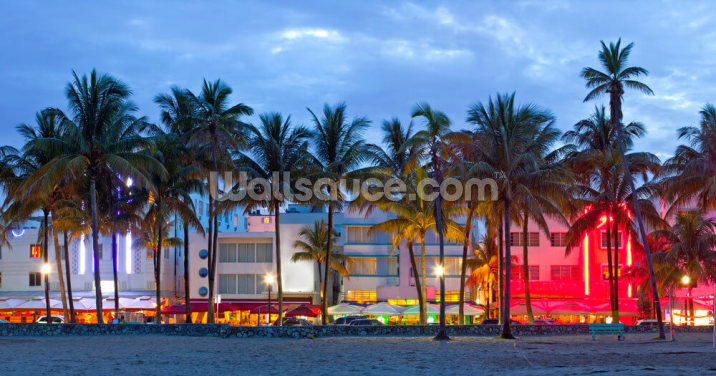 Miami Beach Palms Sunset