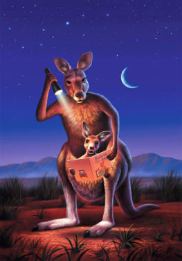 Kangaroos Kangaroos