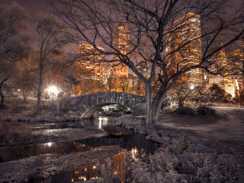 Cental Park at Night Cental Park at Night