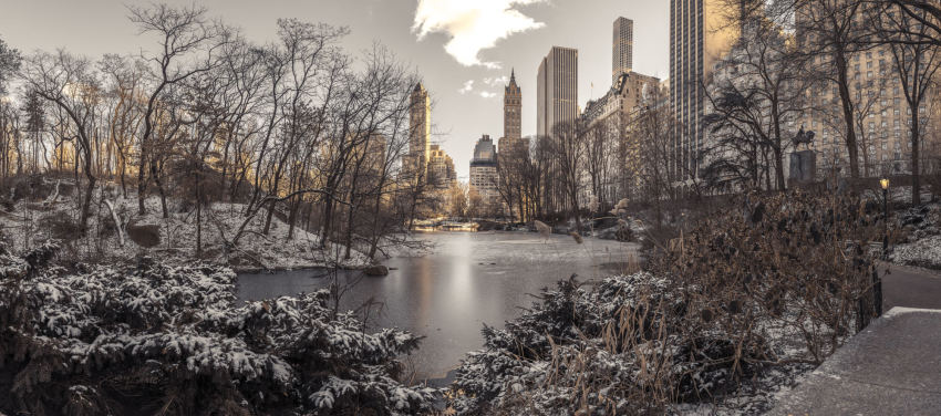 Winter Dawn in Central Park Winter Dawn in Central Park