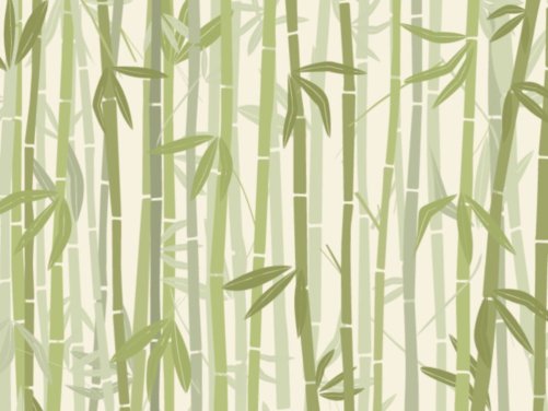 Calm Bamboo Forest