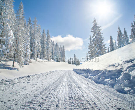 Empty Snow Covered Road