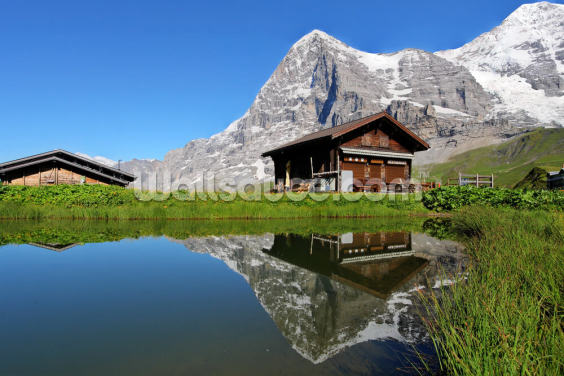 Eiger View Eiger View