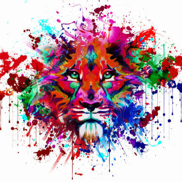 Lion Graffiti Lion Graffiti