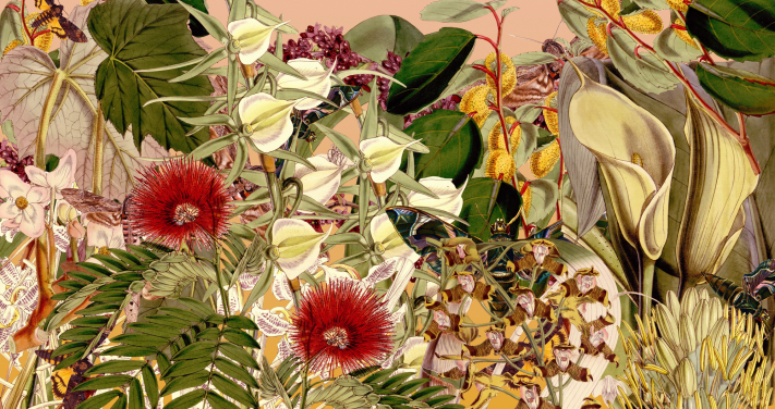 Beautifully Botanical Beautifully Botanical