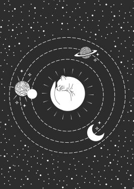 Cat Universe Cat Universe