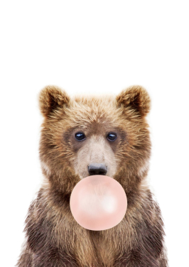 Bubble Gum Bear