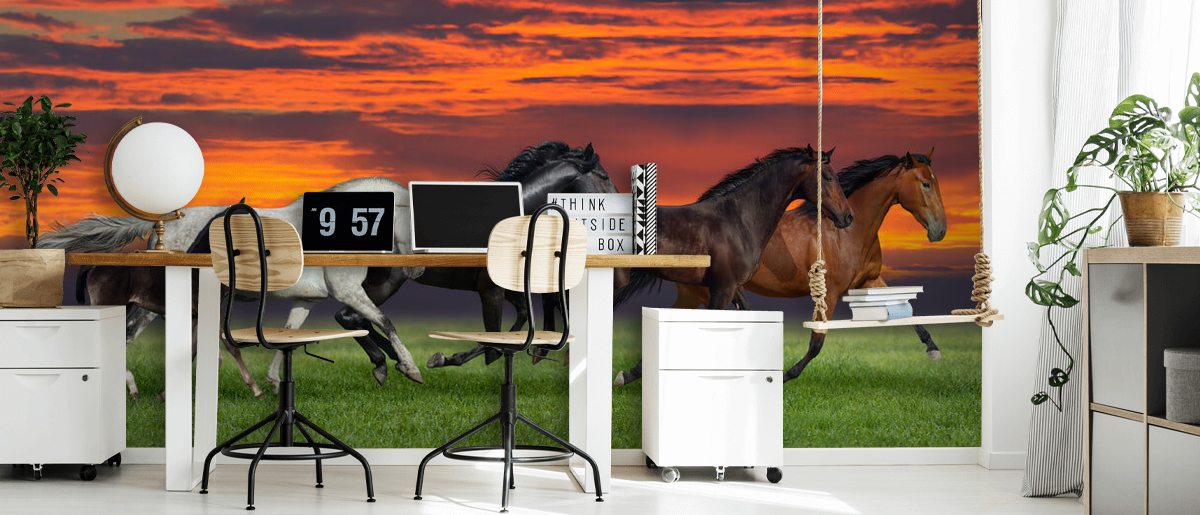 Sunset Horses Wallpaper Wallsauce UK