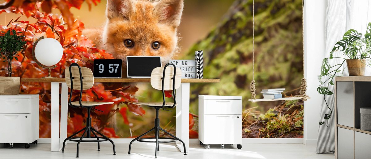 Fox Wall Mural Wallsauce US