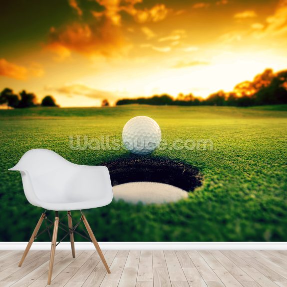 Golf Ball near hole Wallsauce CA