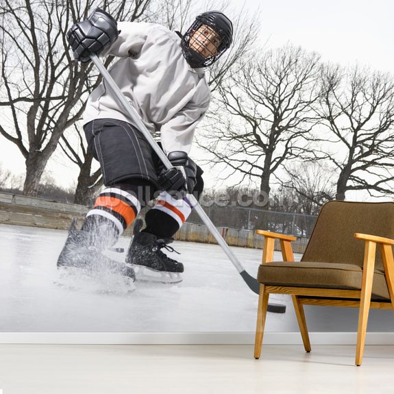 Ice Hockey Wall Mural Wallsauce CA