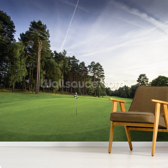 View Golf Wall Murals Gif In Wallpaper