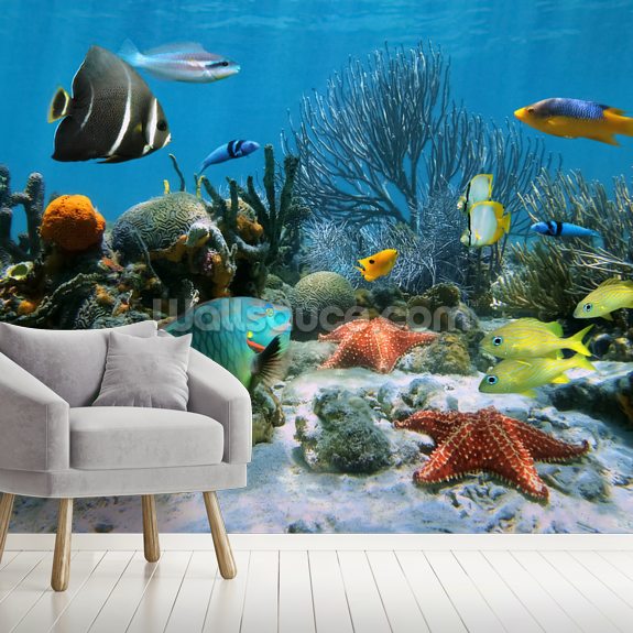 Coral Reef Wallpaper Mural Wallsauce UK