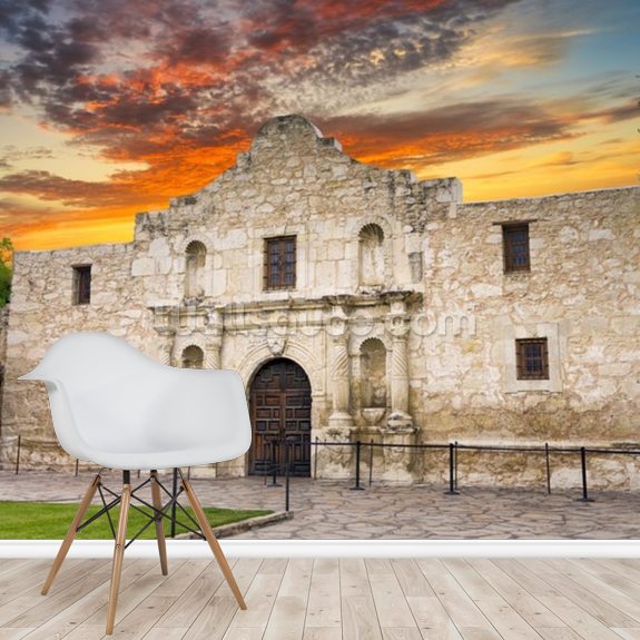 The Alamo, San Antonio, TX Wallpaper Mural | Wallsauce AE