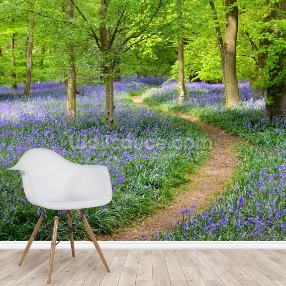 Bluebell Wood Wallpaper Mural Wallsauce UK