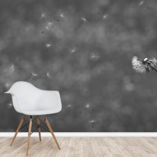 Dandelion In The Wind Wallsauce Au