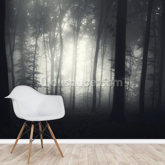 Light in the Dark Wallpaper Mural Wallsauce US