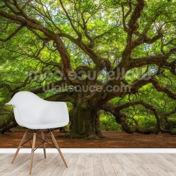 Angel Oak Tree Wallpaper Mural | Wallsauce US