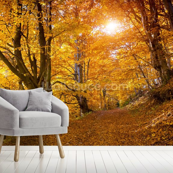 Autumn Leaves on Trees Wallpaper Mural | Wallsauce UK