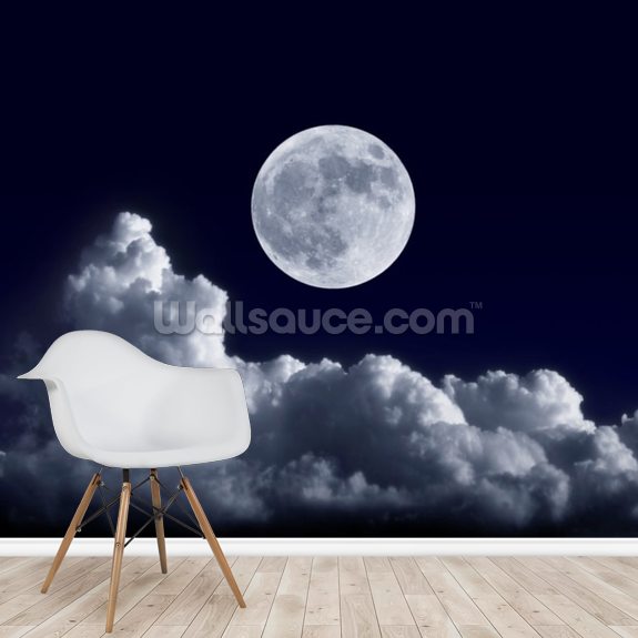 Full Moon At Its Perigee Wallpaper Wallsauce Uk