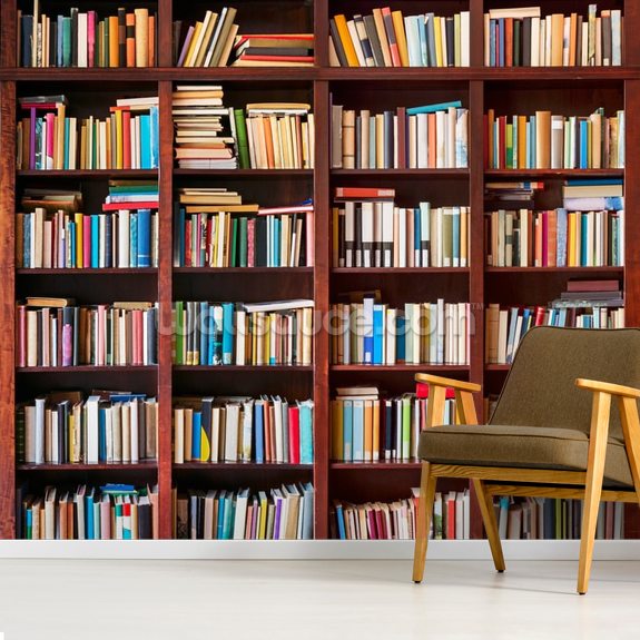 Bookcase Wallpaper Wallsauce UK