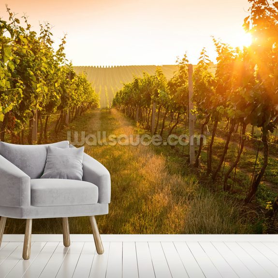 Sunrise over a vineyard Wallpaper Mural Wallsauce UK
