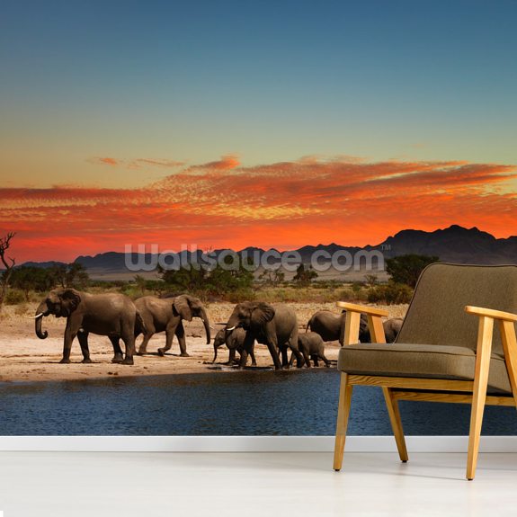 Papier peint des éléphants d'Afrique Wallsauce FR