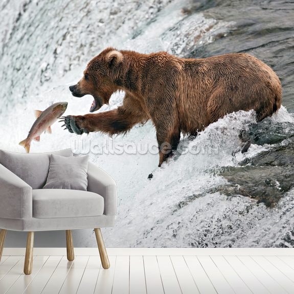 Grizzly Bear Wall Mural Wallsauce AU
