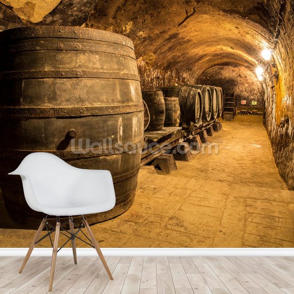 Wine Cellar In Floor Window In Floor For Wine