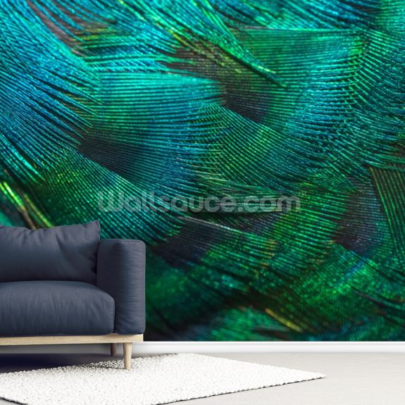Removable Wallpaper Mural Peel /& Stick Peacock Feathers