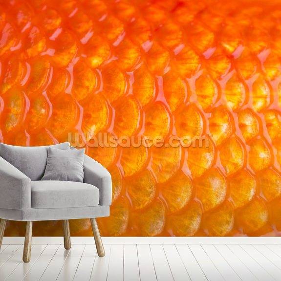 Goldfish Print Wall Mural | Wallsauce UK