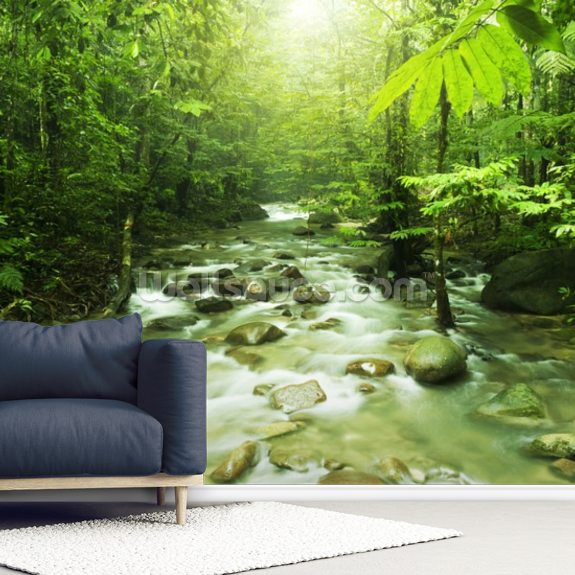 Forest River Wall Mural Wallpaper Wallsauce US
