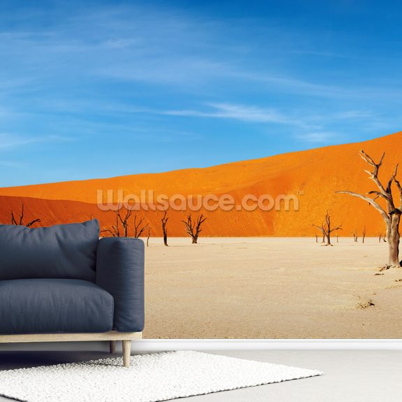 Namib Desert Wallpaper | Wallsauce US