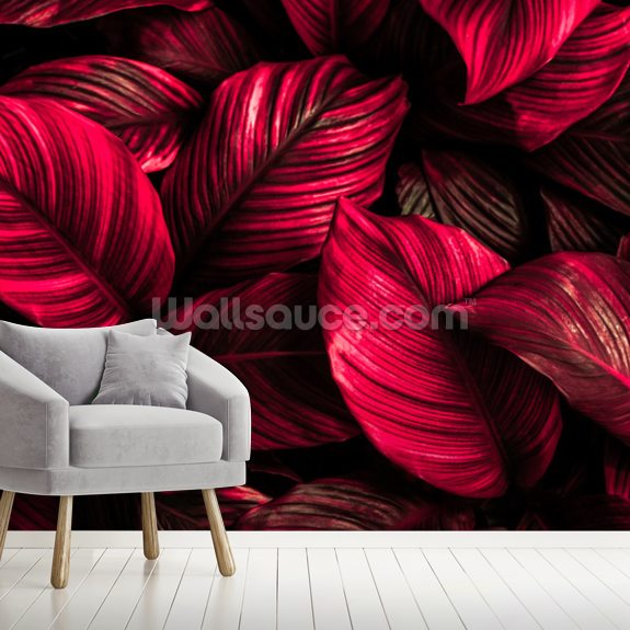 Pink Leaf Wallpaper | Wallsauce UK