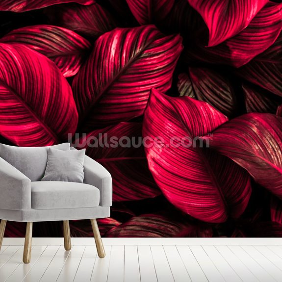 Pink Leaf Wallpaper Wallsauce UK