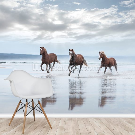 Ruskeat hevoset rannalla Taustakuva | Wallsauce FI
