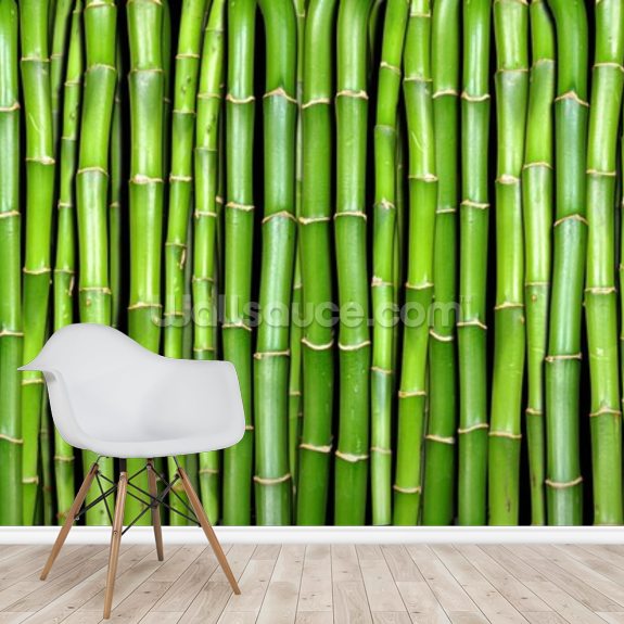 Bamboo Mural Wallpaper Wallsauce US