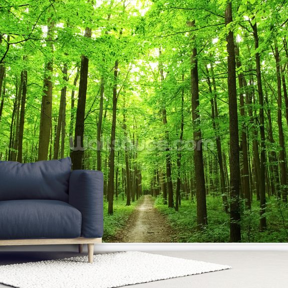 18++ Forest Wallpaper For Walls