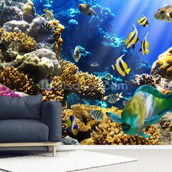 Coral Life Wallpaper | Wallsauce US