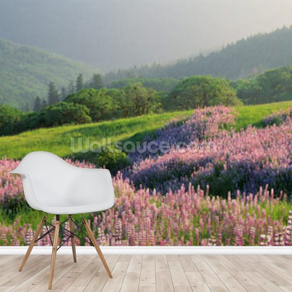 Yellowstone National Park Wall Mural Wallsauce AE