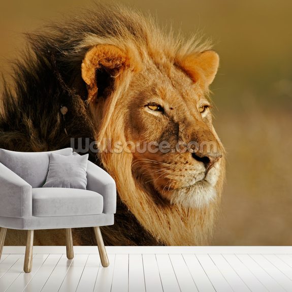 Lion Wallpaper Mural Wallsauce UK