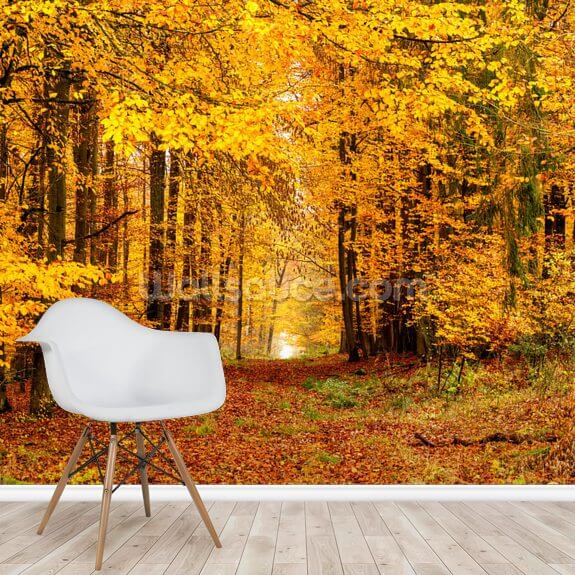 Autumnal Path Wall Mural Wallsauce US