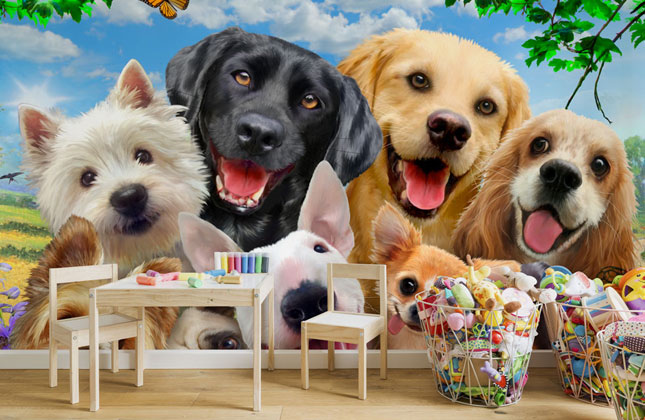 Dog Wallpaper & Wall Murals | Wallsauce CA Dog Wallpaper & Wall Murals | Wallsauce CA