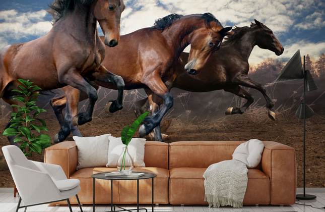 Horse Wallpaper & Wall Murals | Wallsauce US Horse Wallpaper & Wall Murals | Wallsauce US