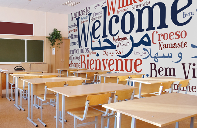 Modern Foreign Languages Wallpaper Murals