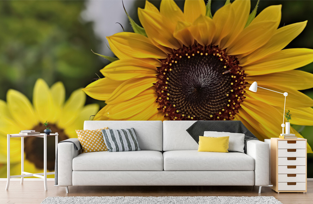 Sunflower Wallpaper & Wall Murals | Wallsauce UK