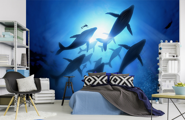 Whale Wallpaper Murals | Wallsauce US