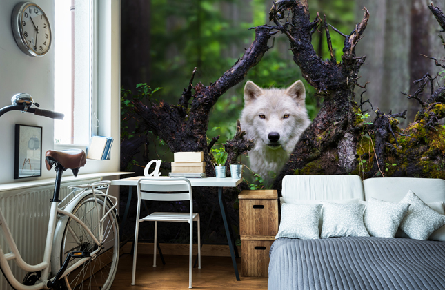 Papel pintado y murales de lobo | Wallsauce ES Papel pintado y murales de lobo | Wallsauce ES