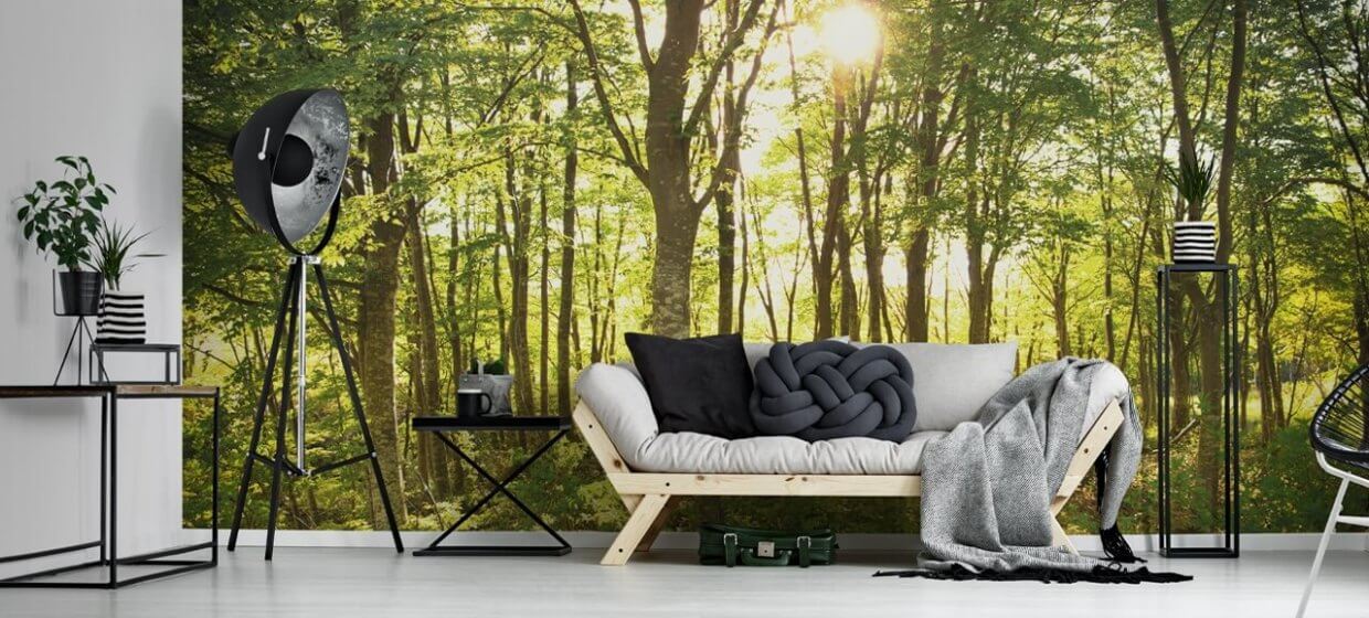 Forest wallpaper in living area